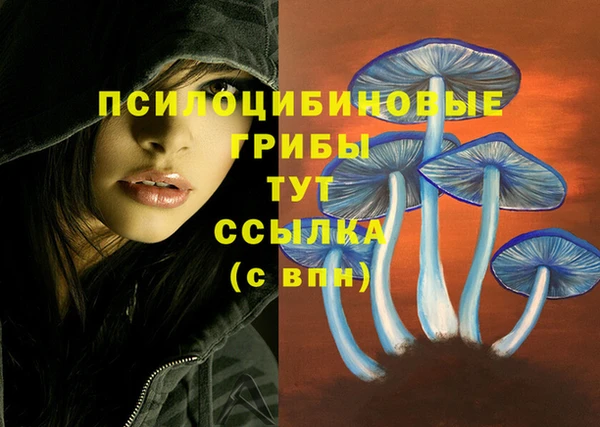 ALPHA PVP Бородино