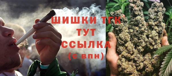 не бодяженный Тобольск